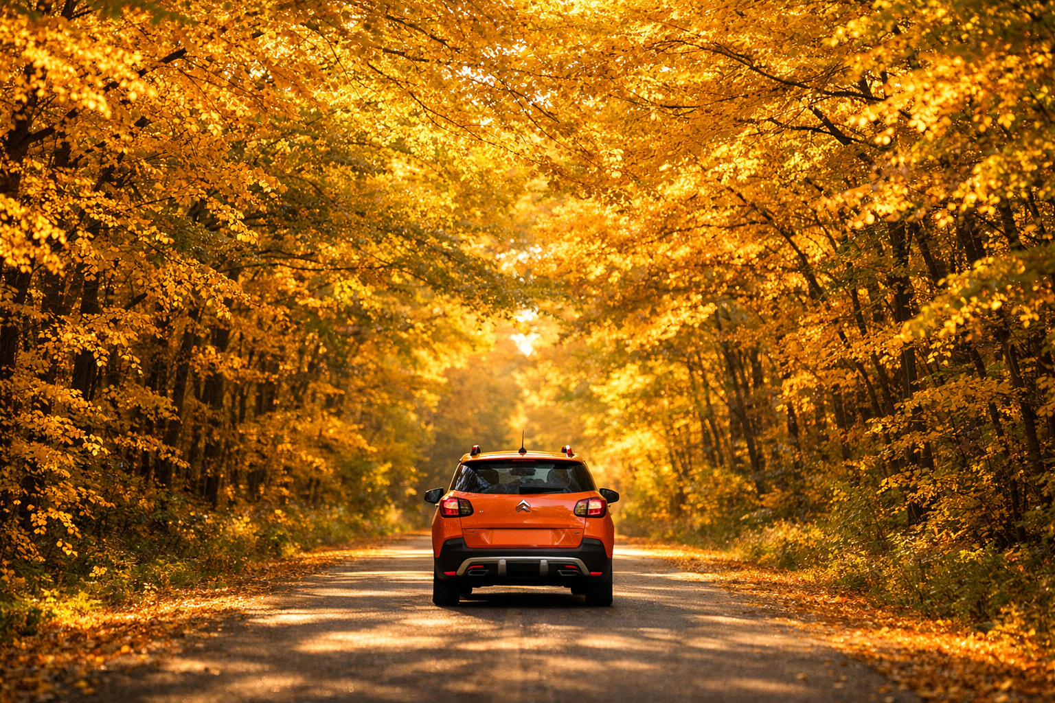 AutoGerco - Mandataire automobile Fraize